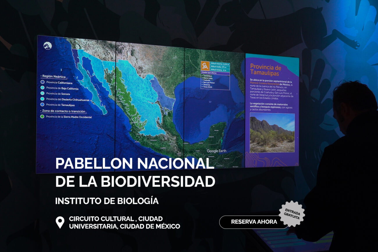 Portada_pabellon_tickets