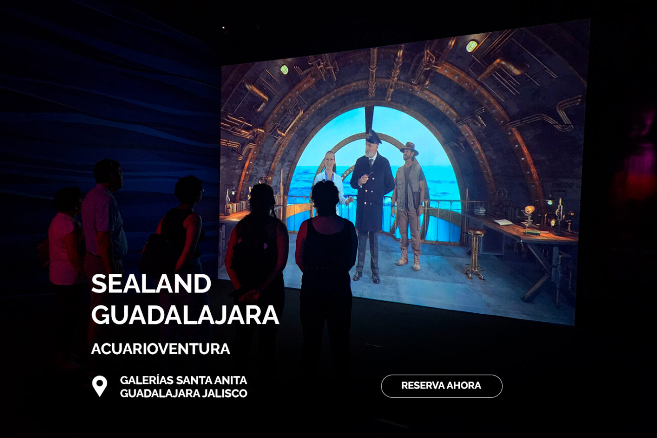 SEALAND_GUADALAJARA_COCAY