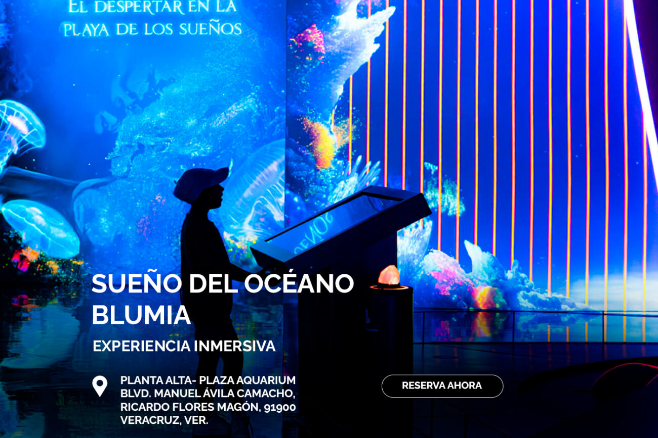 SUEÑOS_BOLETO